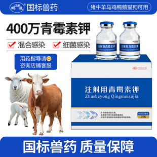 鹏迪400万单位青霉素钾兽用兽药青霉素猪牛羊鸡鸭鹅禽注射用正品