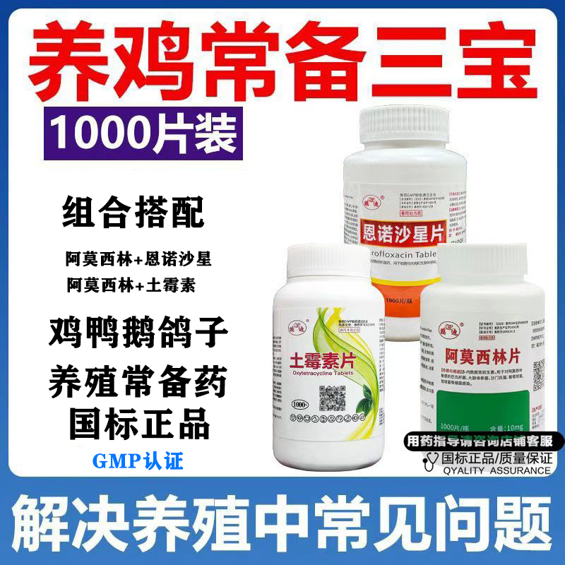 鸡鸭药土霉素片阿莫西林恩诺沙星
