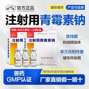 鹏迪青霉素兽用 青霉素钠注射用兽药正品猪牛羊犬猫鸡鸭鹅禽400万