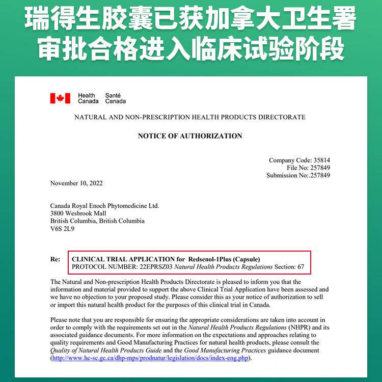 瑞得滴丸加拿大进口稀有人参皂苷Rh3,haPPD,Rg5R,R生k2 不含2BXJ,