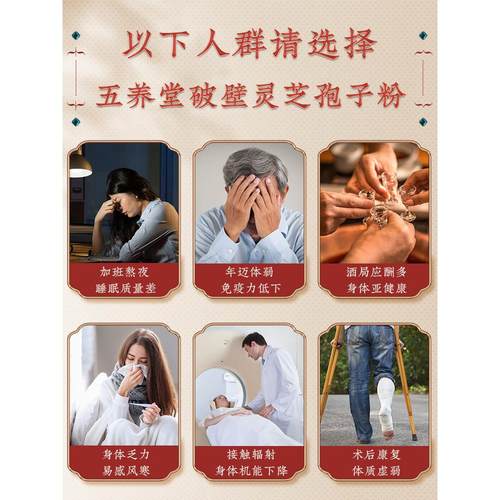 五堂养破壁芝孢子粉补野生环境破GIB壁林芝滋品增强营养品灵买十