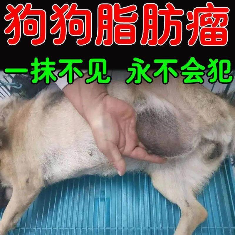 狗狗脂肪瘤膏【一抹不见了]专治宠物皮下脂肪瘤粉瘤囊起硬块专用