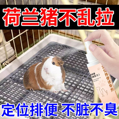 宠物排便诱导剂仓鼠荷兰猪猫咪狗狗定点上厕所不乱拉定点排便神器
