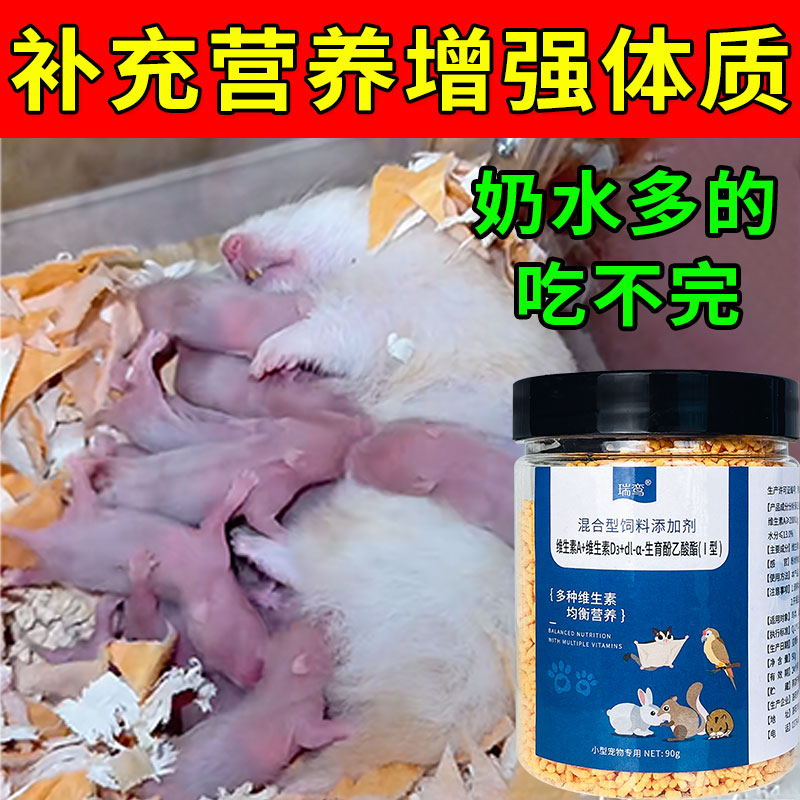 金丝熊仓鼠生宝宝速补营养多维营养品幼崽粮月子餐怀孕哺乳期食粮