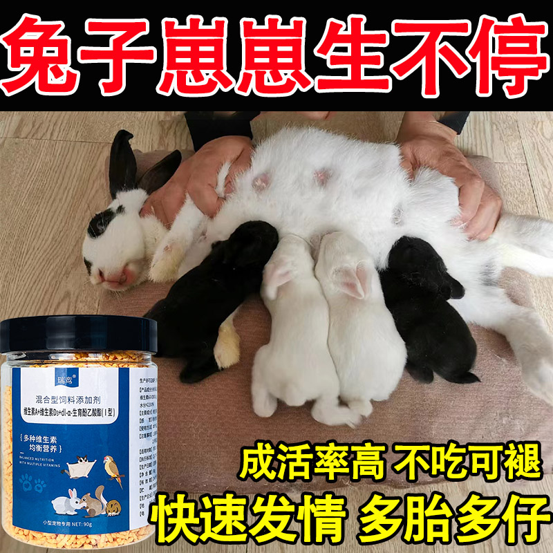 兔子促排卵提高受孕率专用饲料
