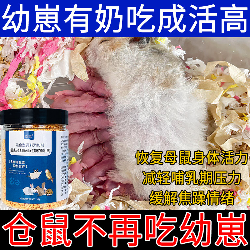 仓鼠催乳下奶月子餐速补产后流失鼠粮