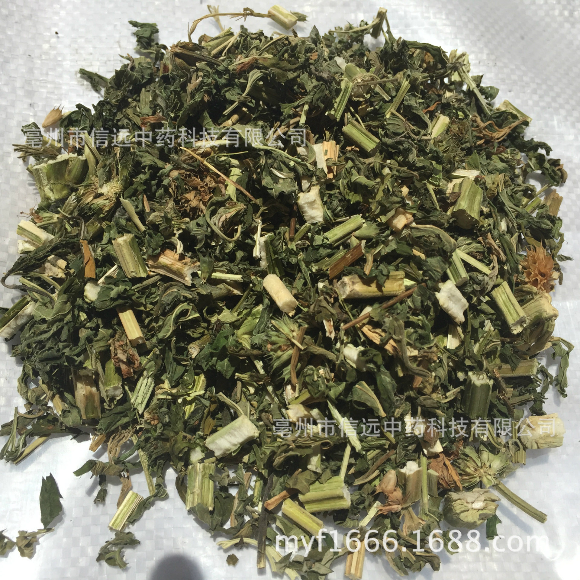 徽信远材益母草不熏硫磺益母草茶原料