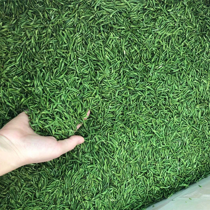 早春雀舌新茶明前嫩芽高山竹叶炒青绿茶春茶毛尖500克礼盒装茶叶