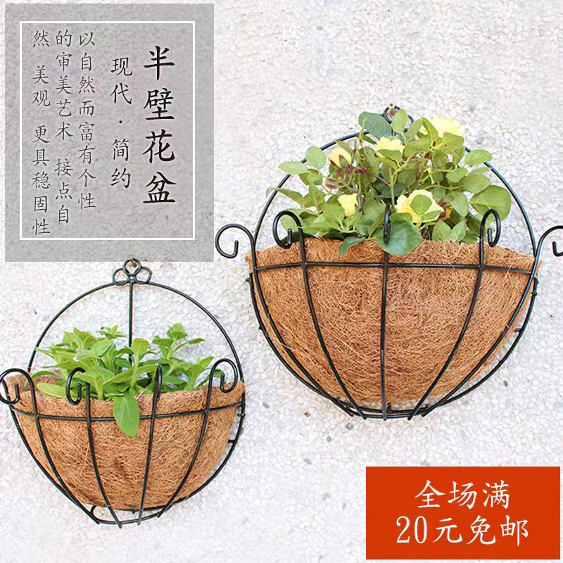 椰棕芯垫壁挂式垂吊铁艺花盆绿萝