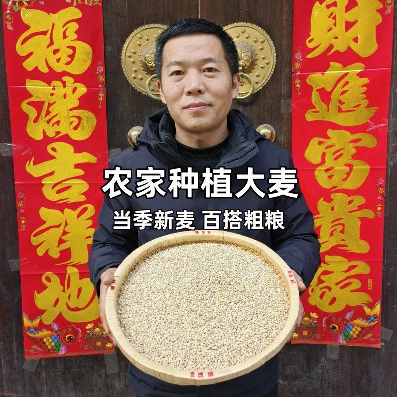 2026年新麦仁精选大麦仁当季农家自种天然健康熬粥粗粮杂粮粥