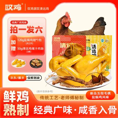 正宗清远鸡拍一发七叹鸡清远鸡盐焗鸡整鸡特色优质麻鸡生态养殖