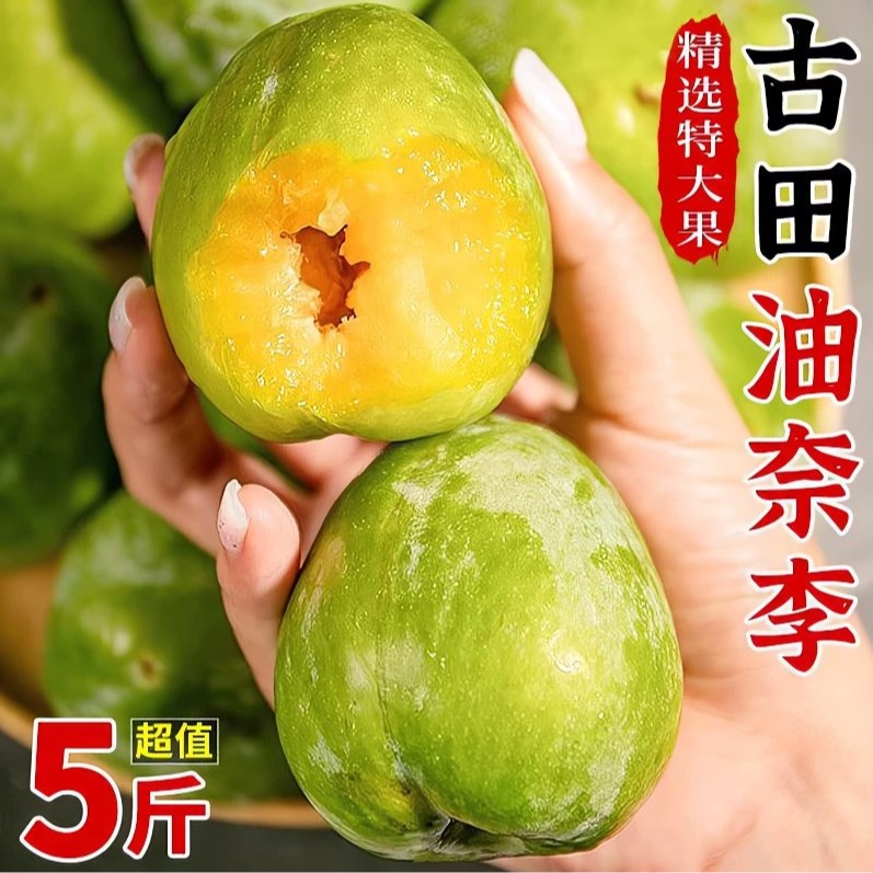 顺丰正宗福建古田油奈李子新鲜水果脱骨李酸甜脆李脱骨现摘包邮