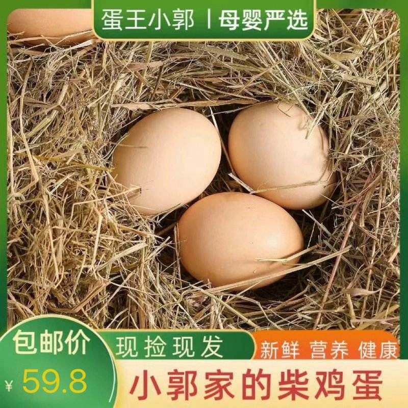 柴鸡蛋30枚装密云小郭家