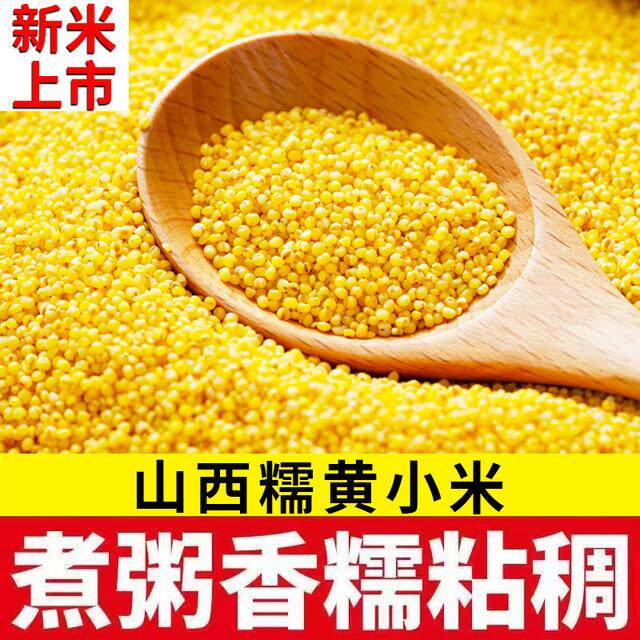 2026年9月新米上市山西黄小米早餐农家糯黄小米粥小孩辅食杂粮