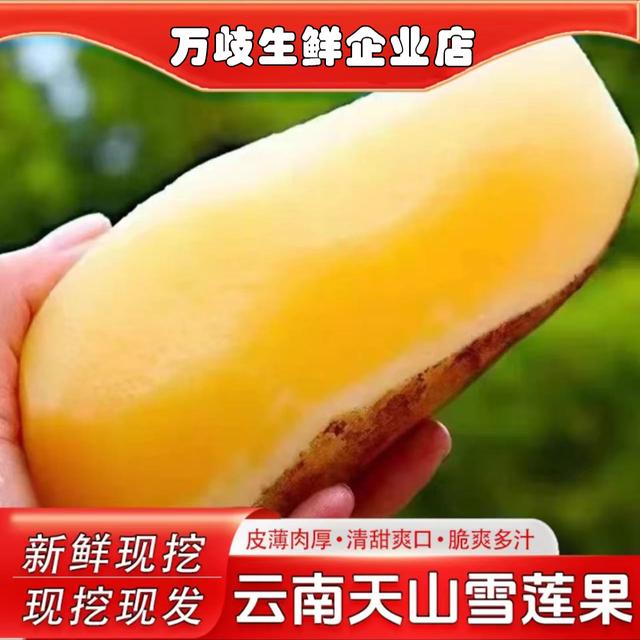 彩箱气柱云南正宗天山雪莲果 新鲜水果当季清甜脆爽低糖5/9斤