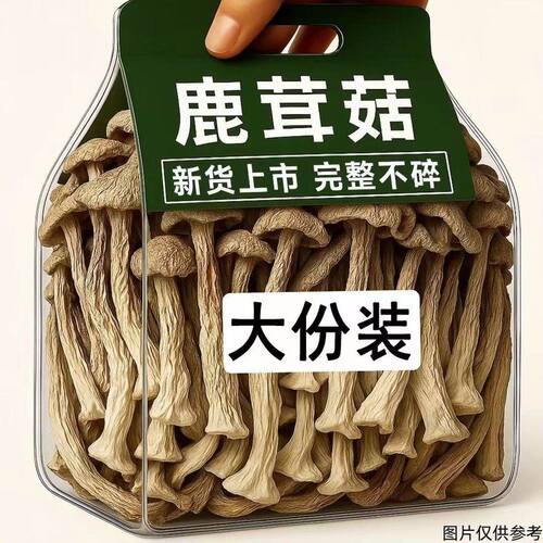 一斤装大甩卖高山原产鹿茸菇菌菇肉厚脆脆菇煲汤干锅爆炒250g