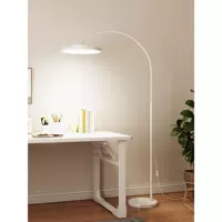 Напольная лампа, обучающее чтение, светильник, торшер, уличный фонарь, защита глаз, комфортный световой спектр, новая коллекция