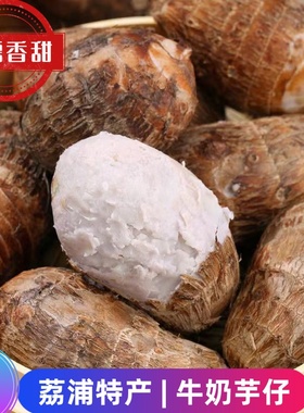 荔浦牛奶芋头仔新鲜现挖粉糯小芋头芋艿毛芋头小香芋商用粗粮早餐