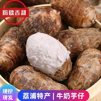 荔浦牛奶芋头仔新鲜现挖粉糯小芋头芋艿毛芋头小香芋商用粗粮早餐