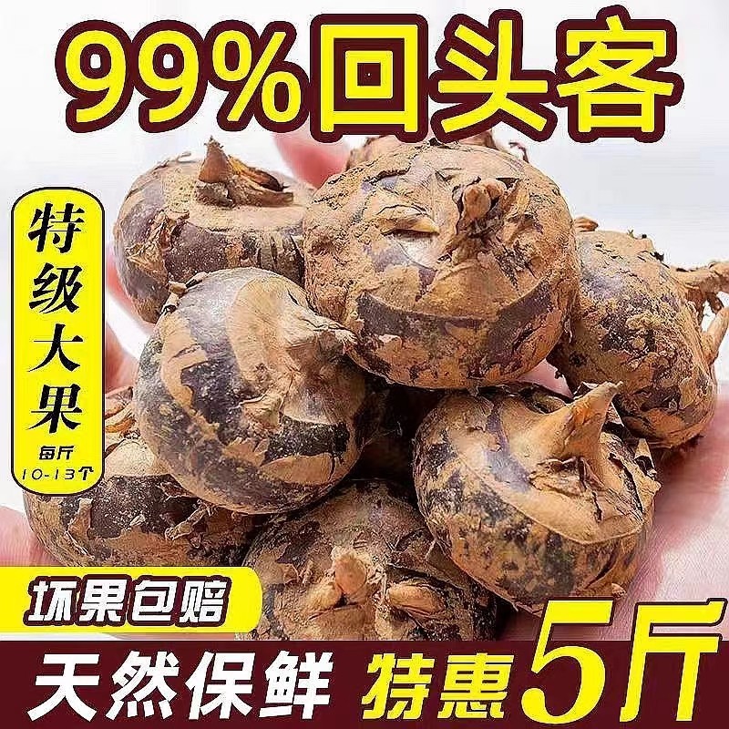 【现挖现发】新鲜马蹄荸荠水果农家蔬菜马蹄果超甜3/5斤包邮