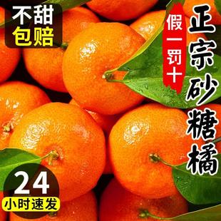 正宗广西砂糖橘10水果新鲜当季橘子整箱斤纯甜金秋沙糖桔非无籽