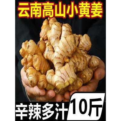 云南小黄姜10斤新鲜农家自种生姜仔姜嫩姜老姜汁月子姜沙姜包邮