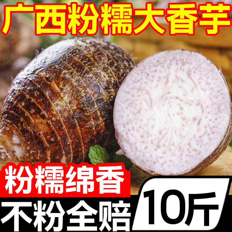广西正宗桂林大芋头粉糯香芋特产新鲜紫藤槟榔芋毛芋现挖农家自种