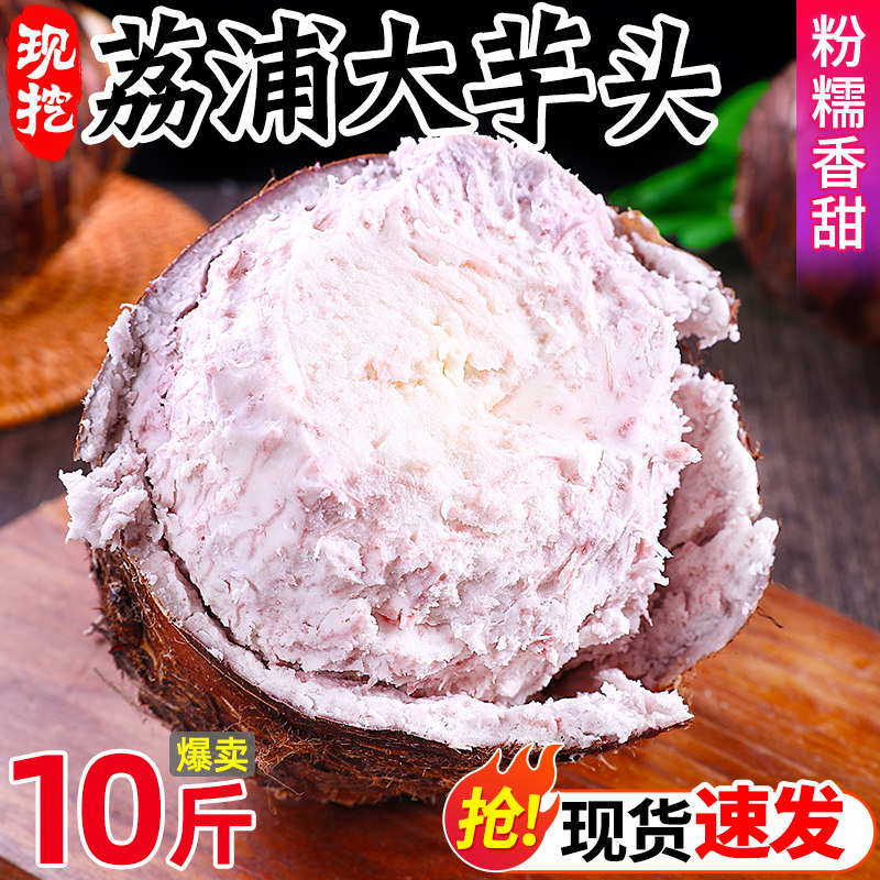 广西荔浦新鲜芋头正宗小芋头旗舰店大槟榔芋紫色香芋艿蔬菜包邮