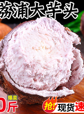 广西荔浦新鲜芋头正宗小芋头旗舰店大槟榔芋紫色香芋艿蔬菜包邮