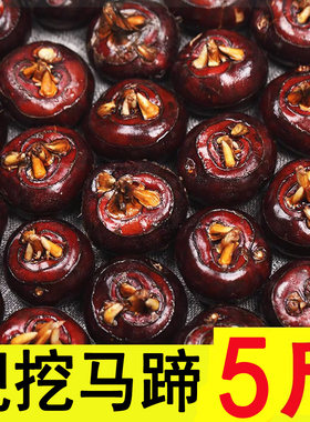 新鲜马蹄5斤荸荠应当季水果蔬菜现挖马蹄莲脆地栗梨饽荠中果
