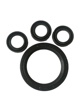 意大利原装进口高压清洗机配件单向阀水封油封批发42555