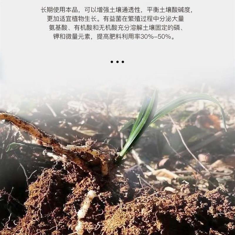 兰灵王兰花专用有机营养液肥料EM菌君子兰蝴蝶兰建兰墨兰石斛生根