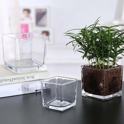 简约水培花盆玻璃器皿水培植物瓶透明花器黄金葛白掌正方形花瓶容