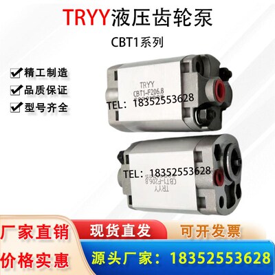 TRYY齿轮油泵CBT1-F206.8 CBT1-F205.8 CBT1-F204.2 CBT1-F204.8