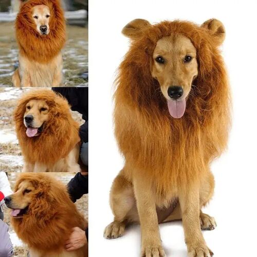 New Cute Pet Dog Cosplay Clothes Costume Lion Mane Winter Wa