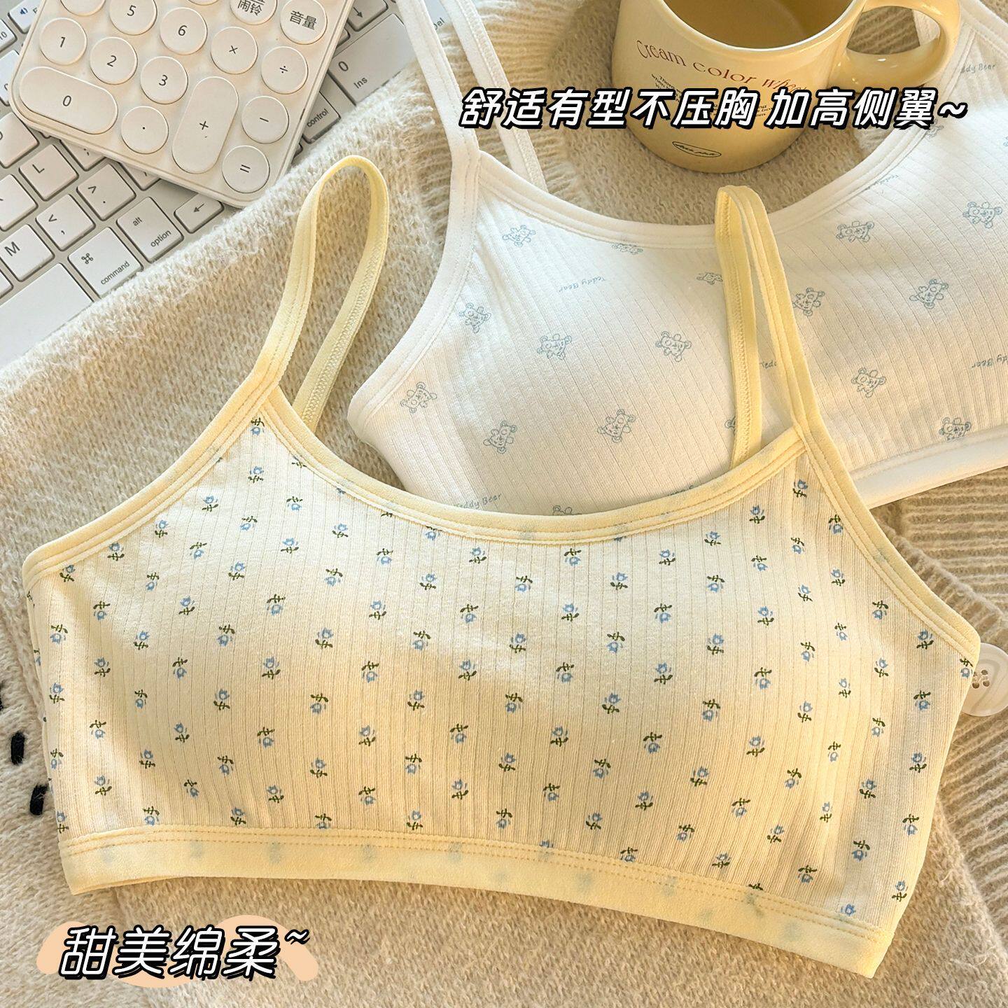 田园风小清新纯棉内衣女无钢圈固定杯美背亲肤透气防震学生文胸薄
