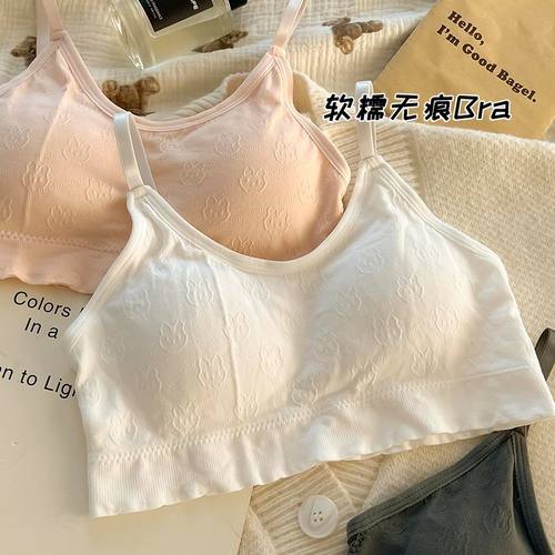 学生内衣女固定杯可爱少女文胸秋