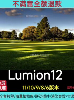 Lumion12/11/10/10.3/9/8/6中文版指导安装送素材教程可仅退款