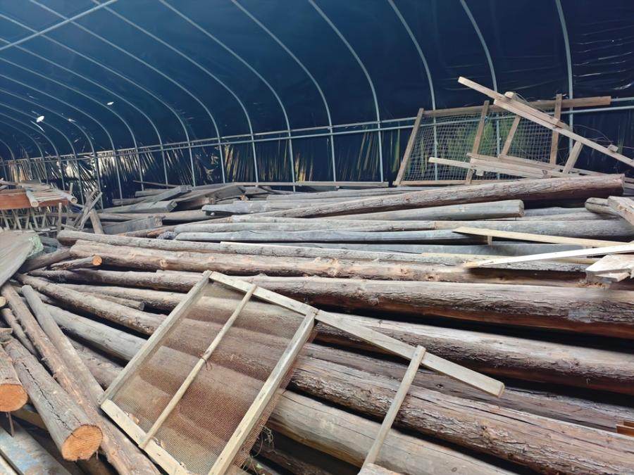 1月29日金华木材、冬瓜梁网络拍卖公告