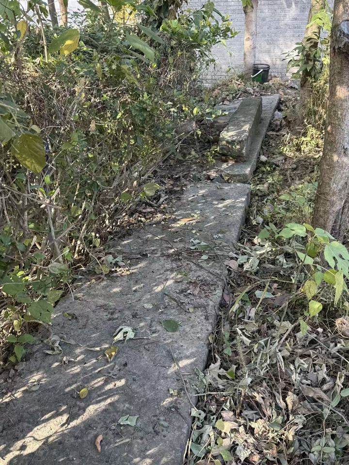 1月29日金华石缸、石门框等网络拍卖公告