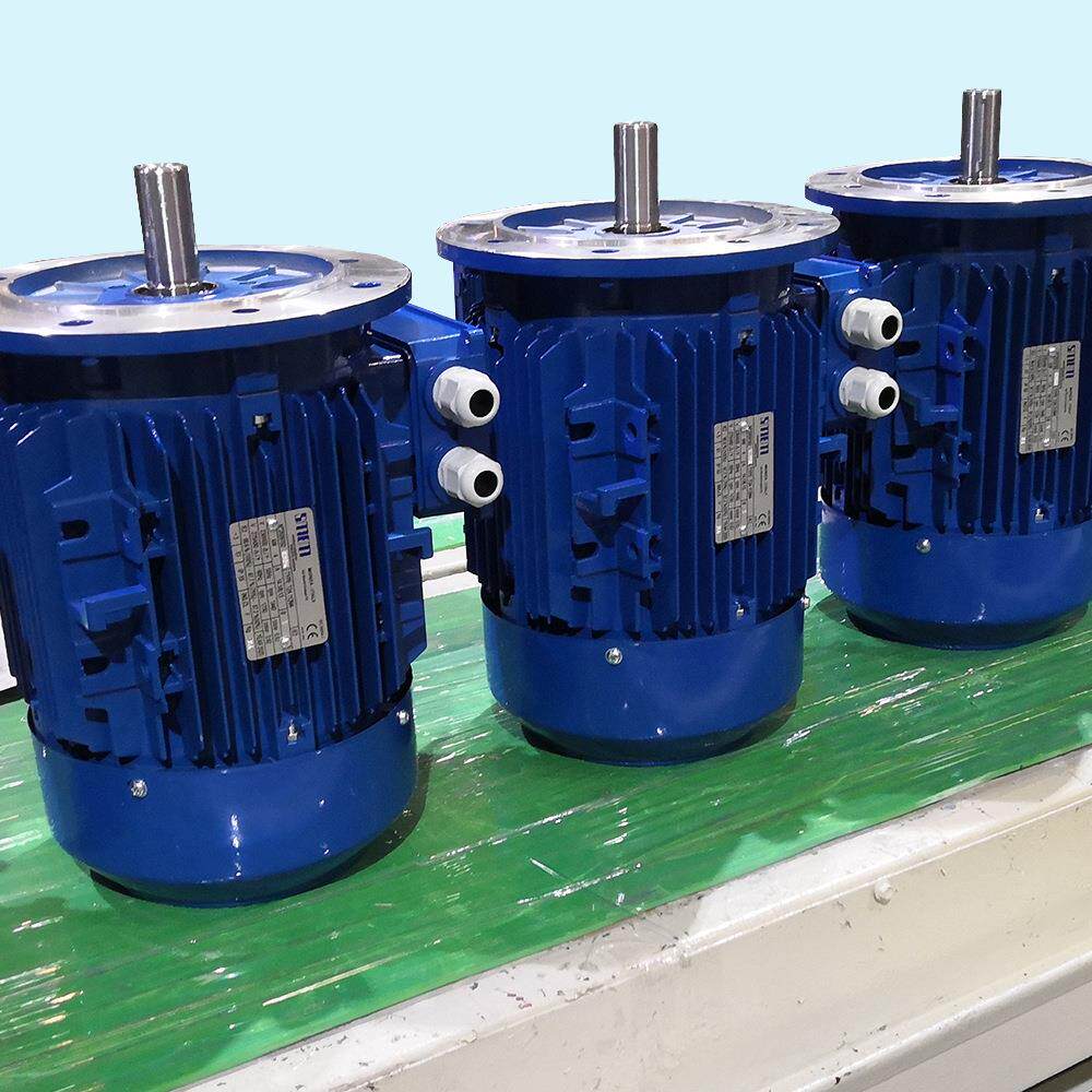 意大利SMEM电动机6SM2 7SM2 T3A 7SM3系列电机IE2 IE3现货立卧