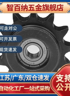 SP40B21-N/S-14/15/16/17/18/19/20/22/24/25/28/30/32/35/40链轮