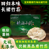 四川宜宾长宁特产长裙竹荪干货礼盒装 竹荪鲜煲汤食材蜀南竹海竹荪