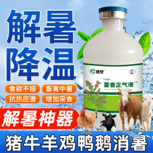 藿香解暑宝藿香正气液兽用解暑降温猪牛羊鸡鸭鹅厌食不吃清爽一夏