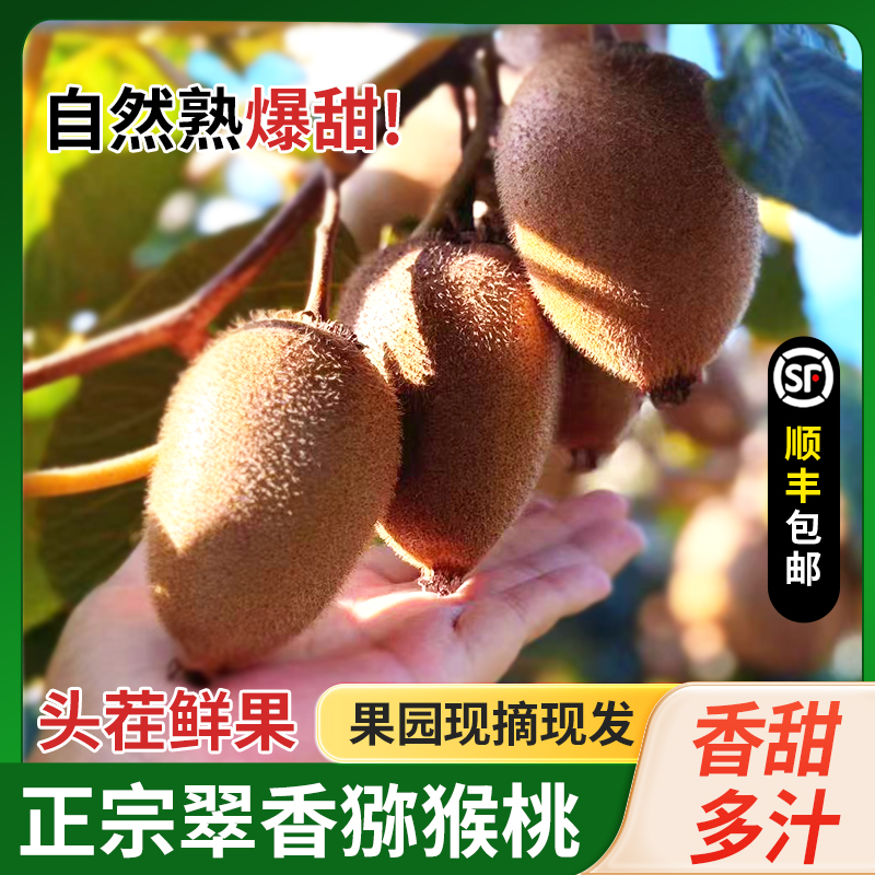陕西翠香绿心猕猴桃新鲜水果当季礼盒奇异果孕妇水果整箱包邮