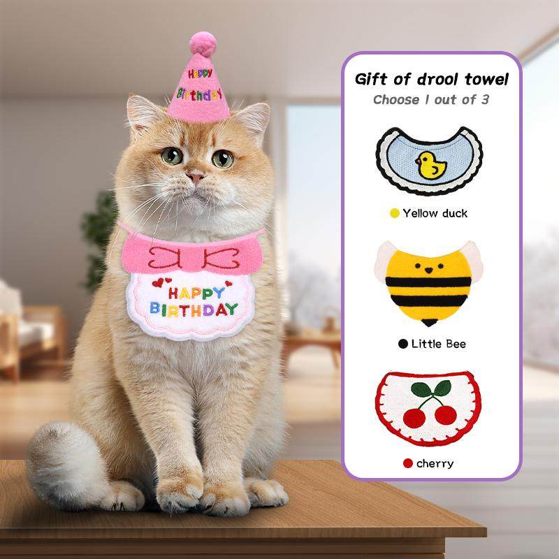 中小型宠物猫狗生日围巾帽子装扮
