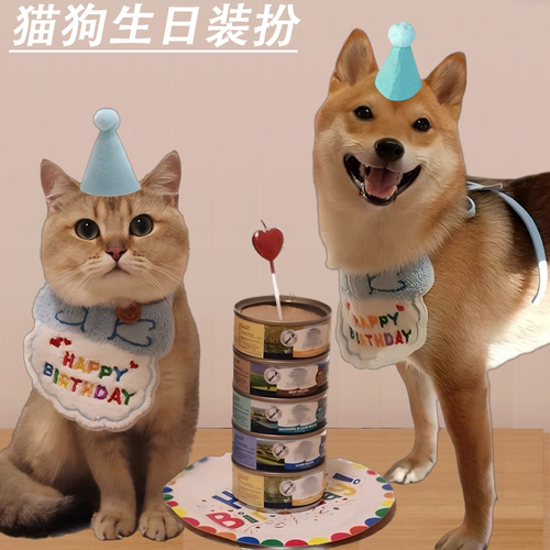 小猫小狗生日装扮围巾帽子