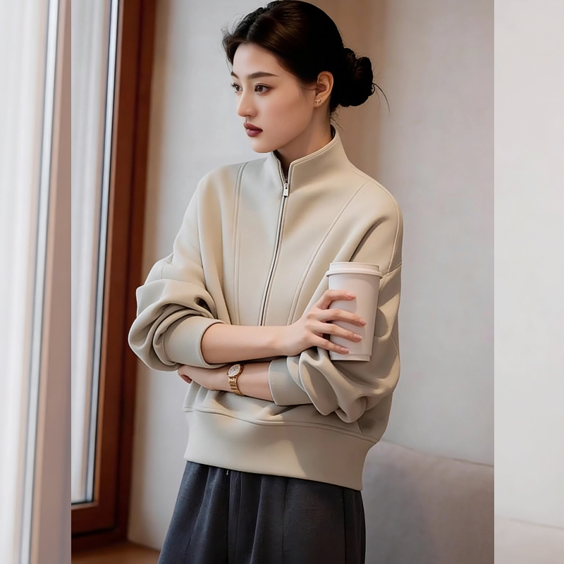 极简风立领拉链卫衣女2026秋冬季新款宽松显瘦百搭高级感上衣外套