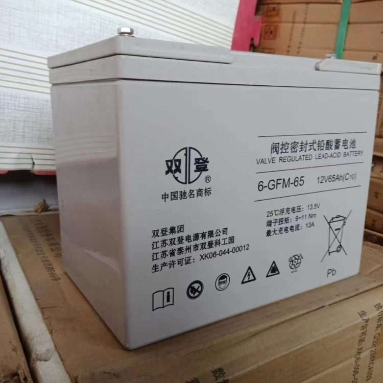 双登12V65AH双登铅酸电池6-GFM-65直流屏应急免维护太阳能蓄电池