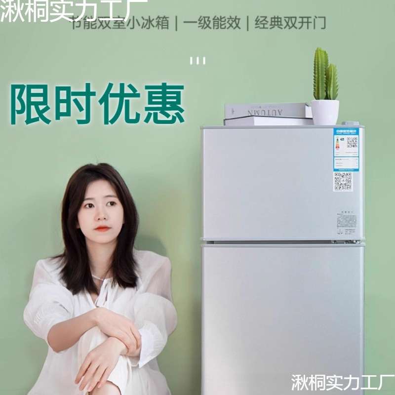 小冰柜一个起批用两人冰箱单人冷冻宿舍家用对开门迷你小型X20